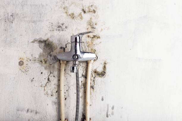 Best Mold Remediation for Schools in Dublin, CA